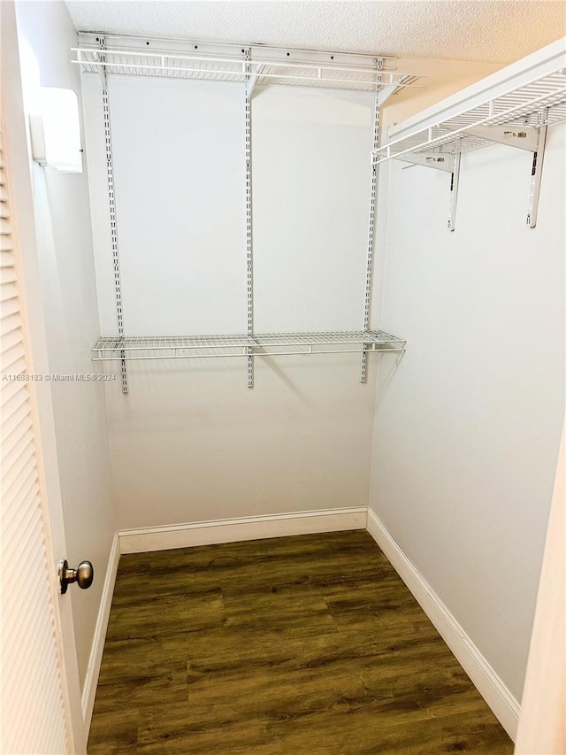 spacious closet featuring dark wood-type flooring