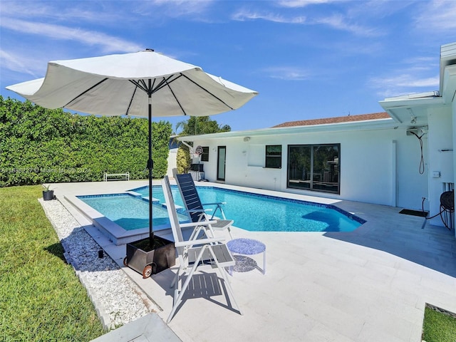 view of swimming pool featuring a patio