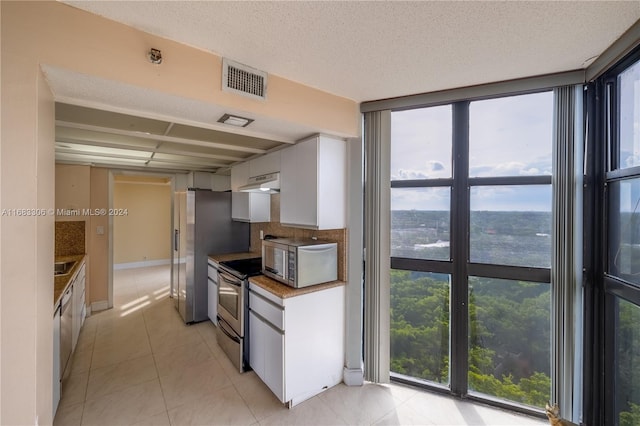 kitchen with white cabinets, a wall of windows, stainless steel appliances, and a healthy amount of sunlight