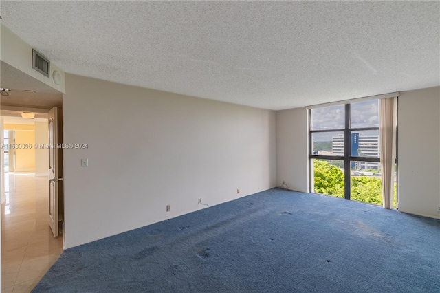 carpeted empty room with floor to ceiling windows and a textured ceiling