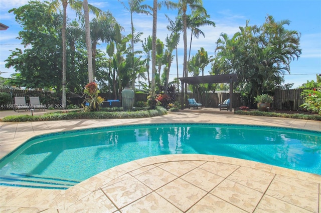 view of swimming pool featuring a patio area