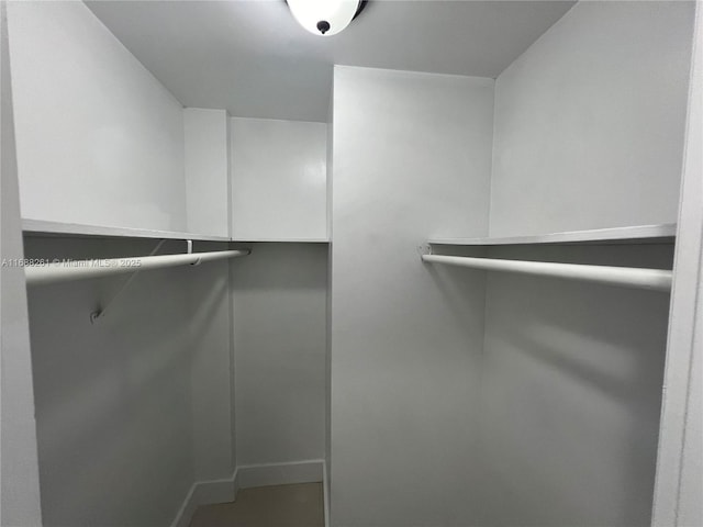 view of walk in closet