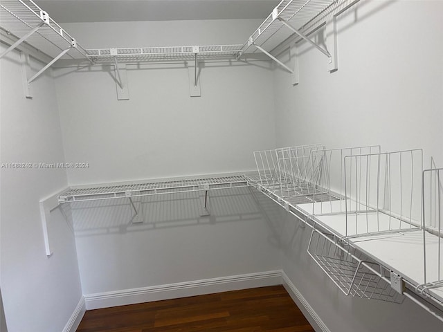 spacious closet featuring dark wood-type flooring