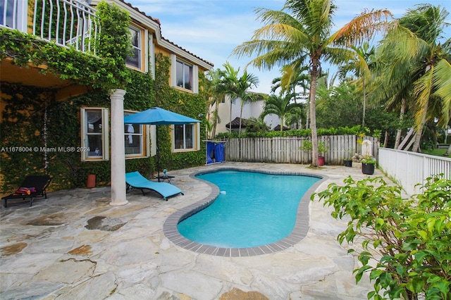 view of swimming pool with a fenced backyard, a patio, and a fenced in pool