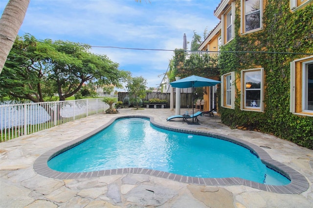 view of pool with a patio