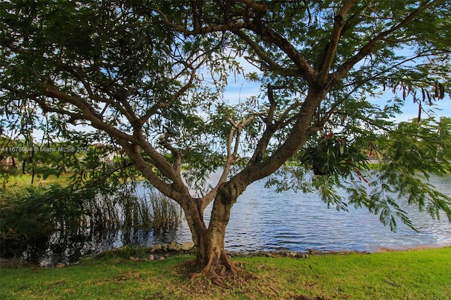 property view of water