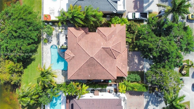 bird's eye view
