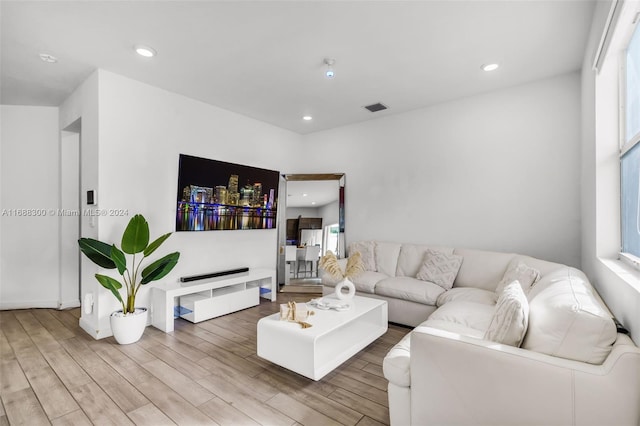 living room with wood-type flooring