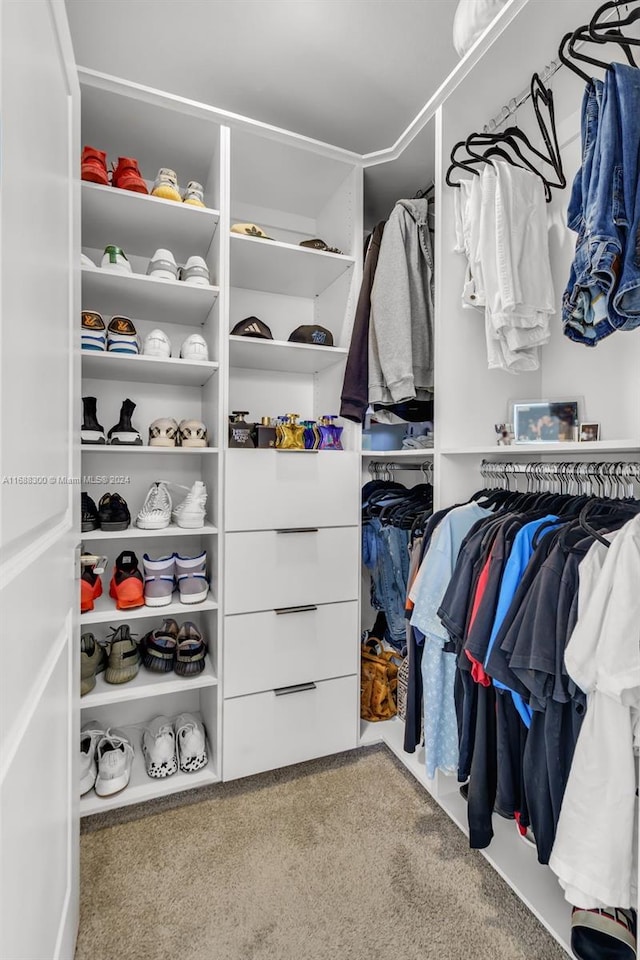 walk in closet with carpet floors