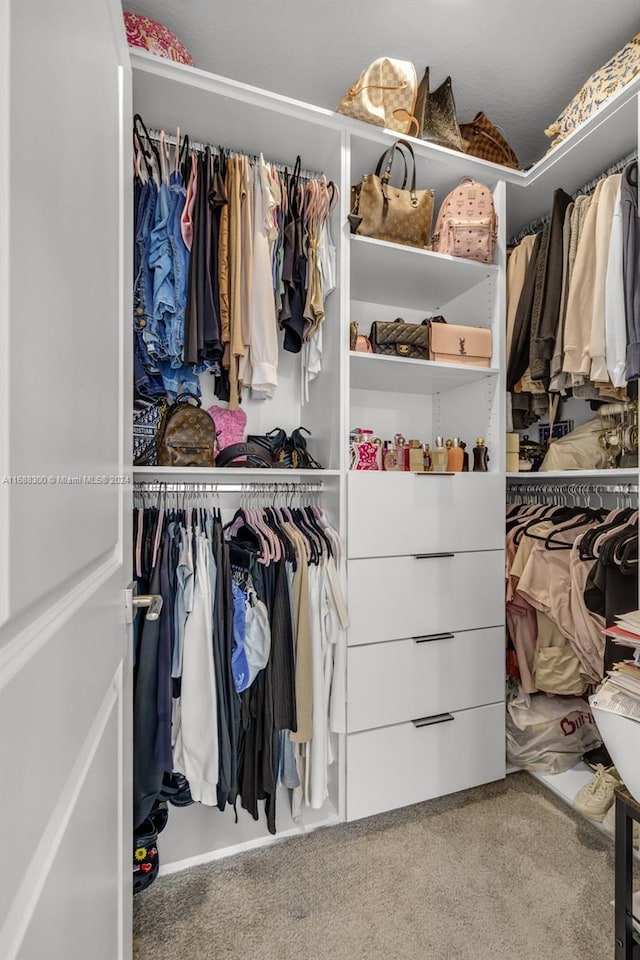 spacious closet with carpet floors