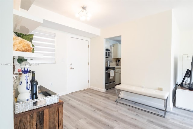 entrance foyer with light hardwood / wood-style floors