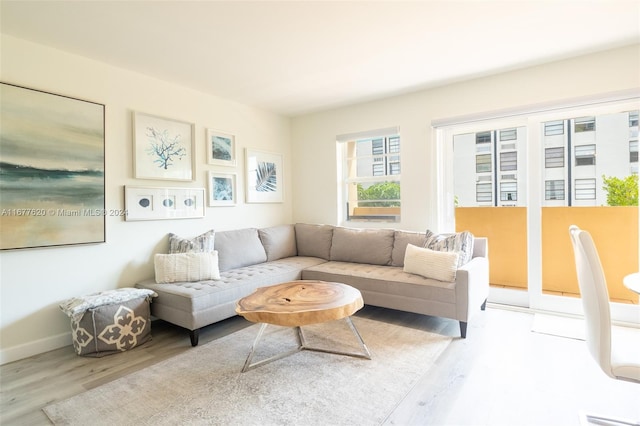 living room with light hardwood / wood-style flooring