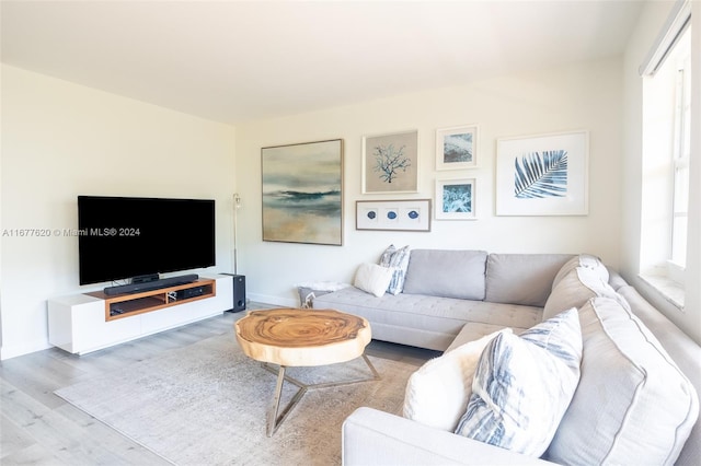 living room with hardwood / wood-style flooring