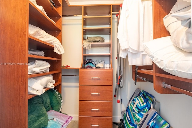 view of spacious closet