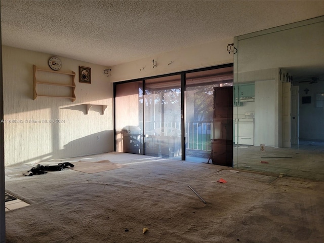 carpeted empty room featuring washer / clothes dryer and a textured ceiling