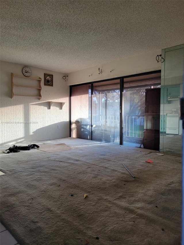 carpeted spare room featuring washer / clothes dryer and a textured ceiling