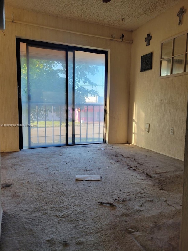 unfurnished room with a textured ceiling and carpet floors