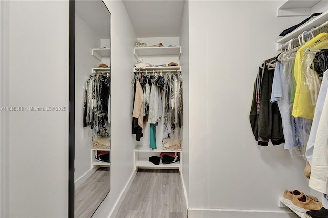 spacious closet with light hardwood / wood-style floors