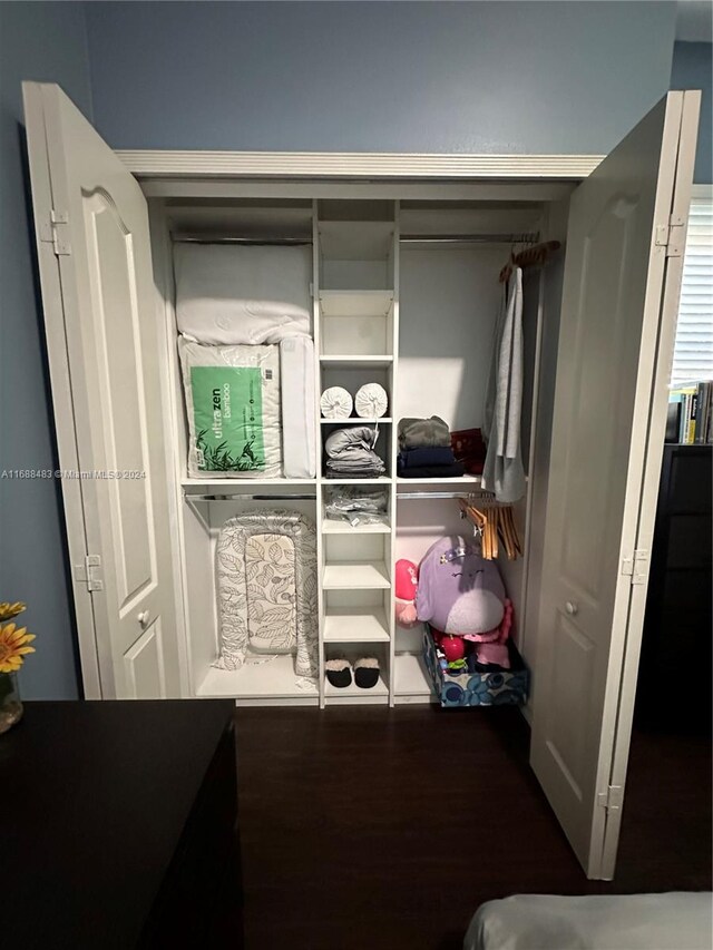 view of closet