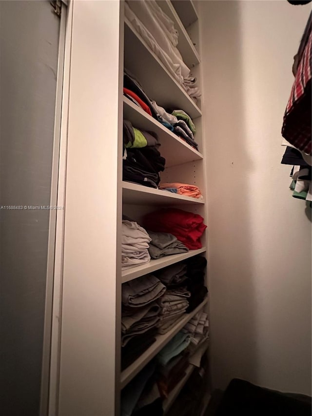 view of closet