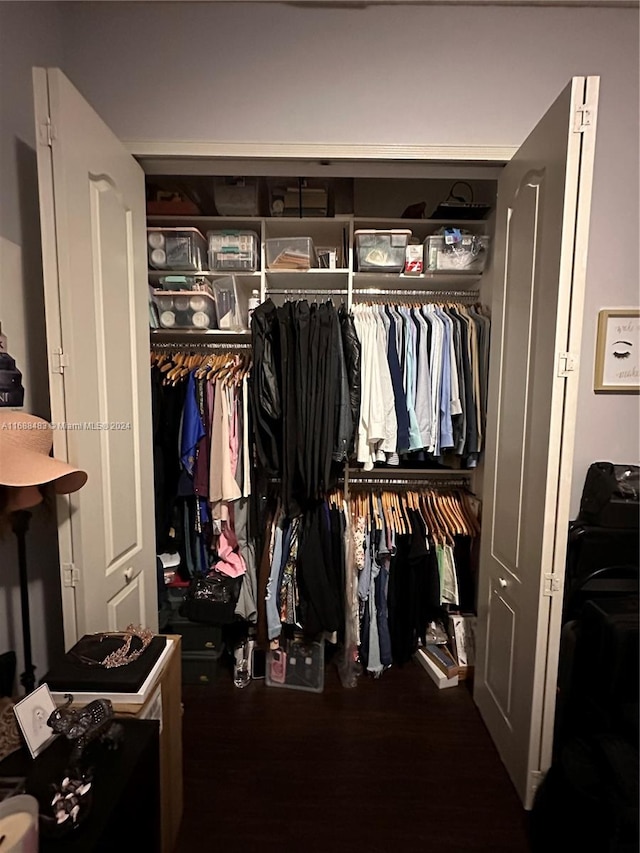 view of closet