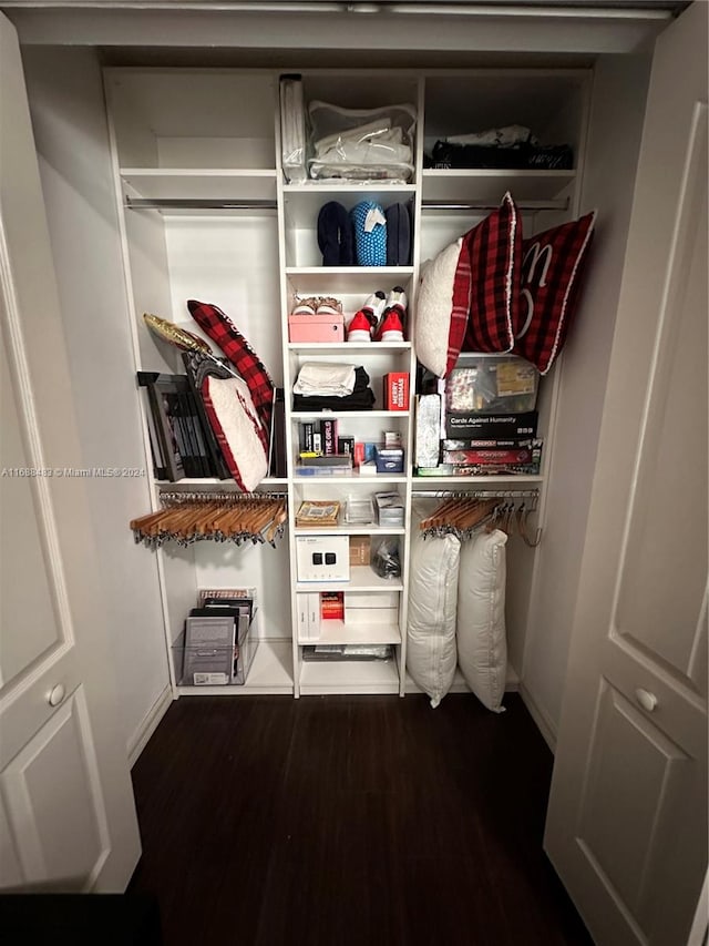 view of closet