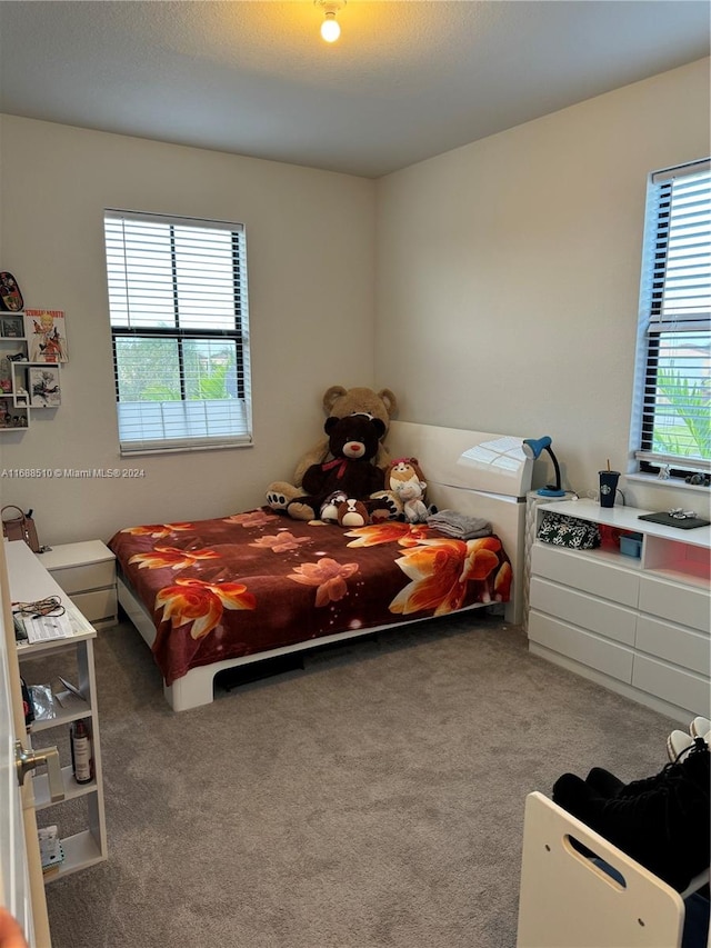 carpeted bedroom with multiple windows