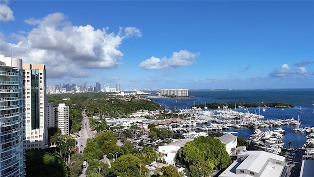 bird's eye view with a water view