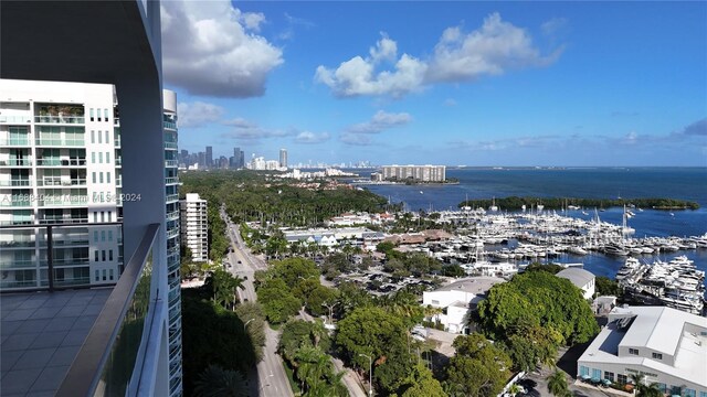 2655 S Bayshore Dr Unit 1602, Coconut Grove, FL 33133 - water view featuring nearby urban area and numerous boat docks