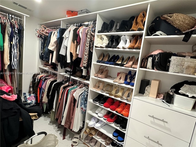 view of spacious closet