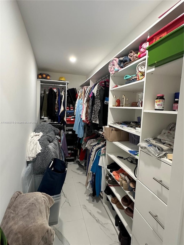 view of walk in closet