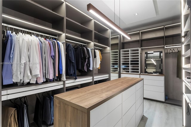 spacious closet featuring light hardwood / wood-style flooring