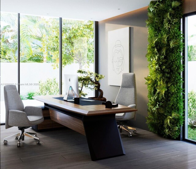 office space featuring dark hardwood / wood-style flooring and floor to ceiling windows