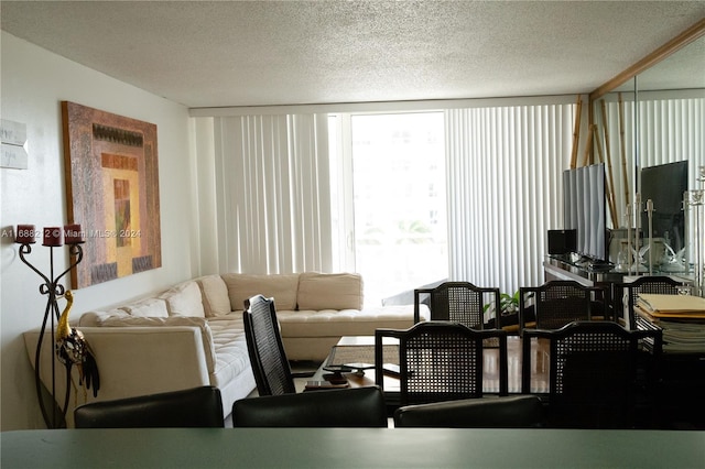 living room featuring a textured ceiling