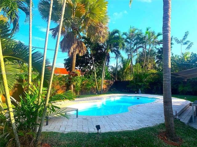 view of pool with a patio area