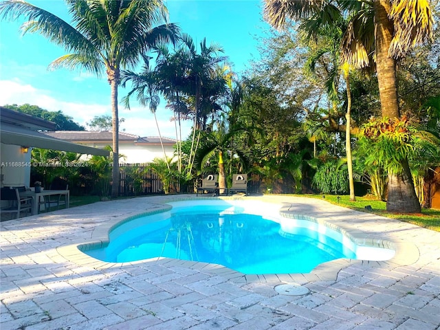 view of pool with a patio