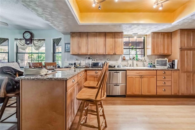 kitchen with light hardwood / wood-style floors, sink, dishwasher, and a tray ceiling