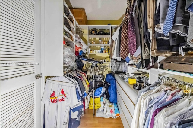 spacious closet with wood-type flooring