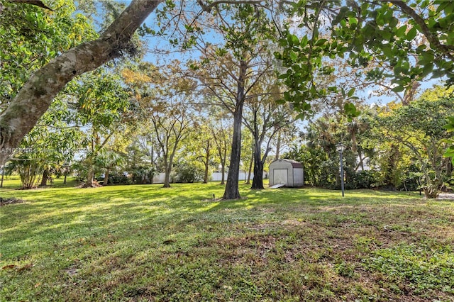 view of yard featuring a storage unit