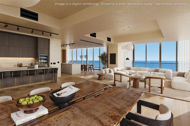 dining space with track lighting, a tray ceiling, a water view, and wood-type flooring