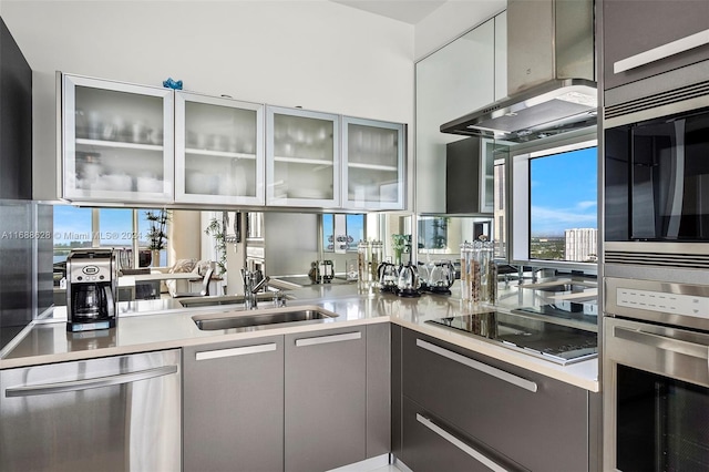 kitchen with gray cabinetry, ventilation hood, sink, and stainless steel appliances