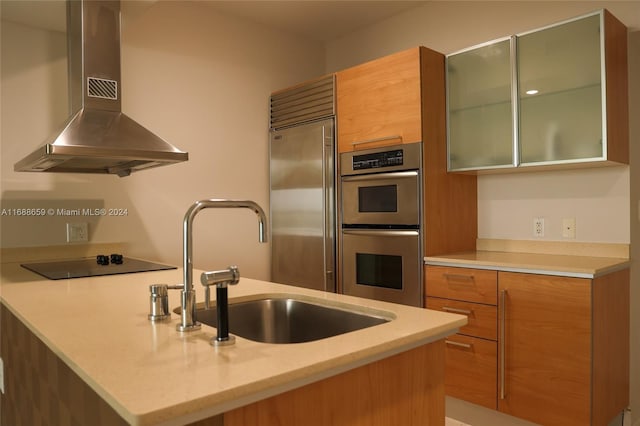 kitchen featuring appliances with stainless steel finishes, sink, and exhaust hood