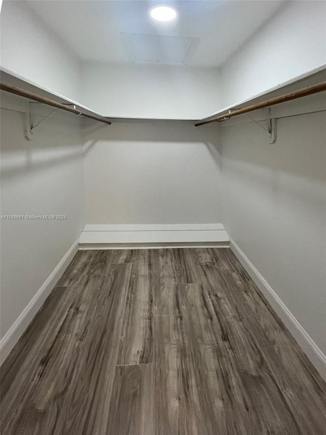 walk in closet featuring dark wood-type flooring