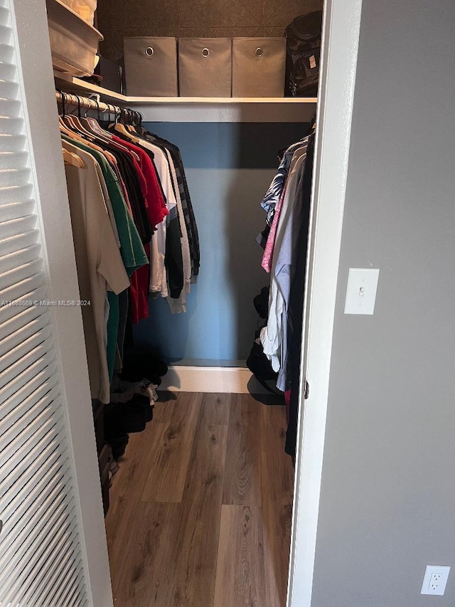 spacious closet with hardwood / wood-style floors