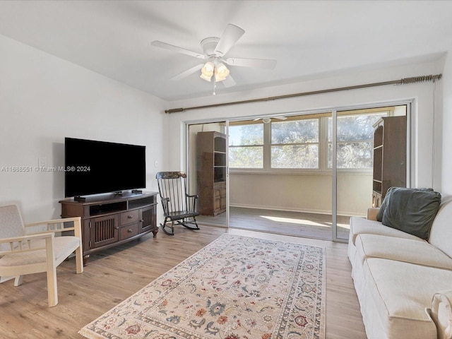 living room with ceiling fan and light wood-type flooring