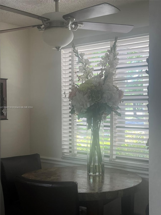 dining space with a textured ceiling and ceiling fan