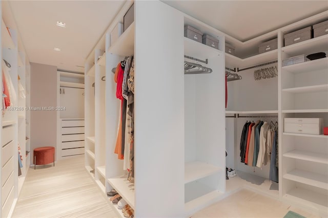 view of spacious closet