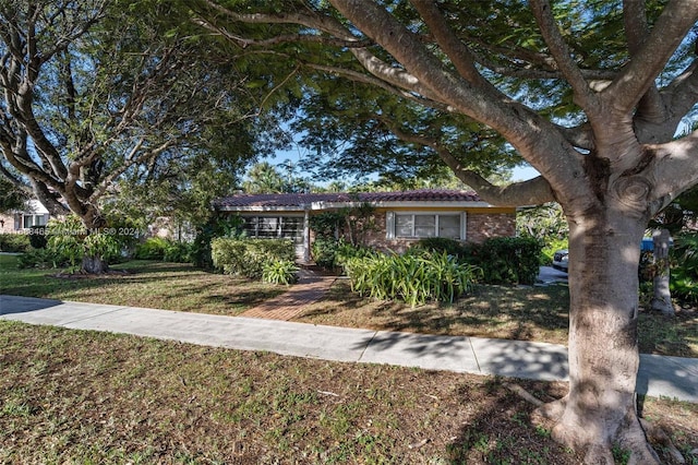 ranch-style home featuring a front yard