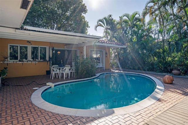 view of pool featuring a patio area