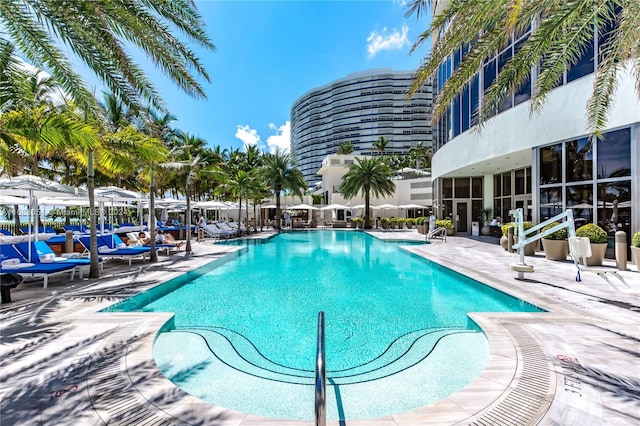 view of pool with a patio